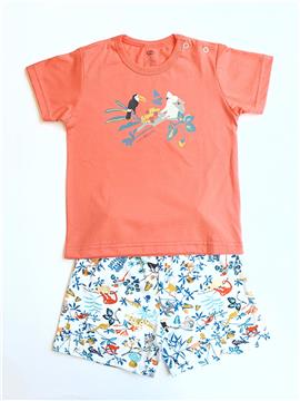 Baby Girl Wildlife Prinnt T-Shirt and Shorts Set