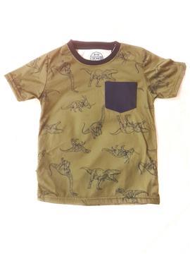 Boy Dinosaur Print T-Shirt